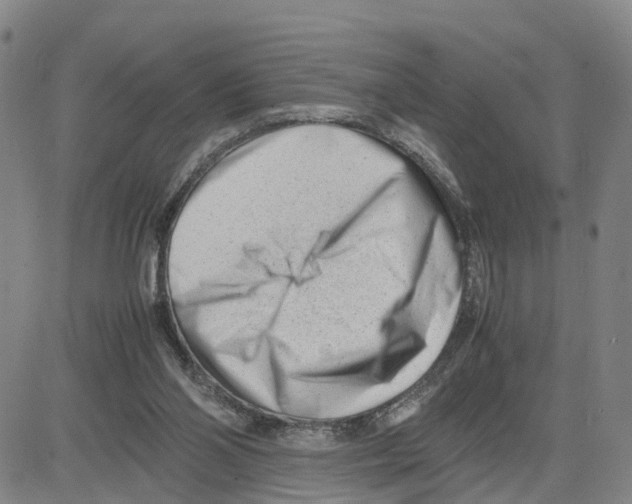 X0000080120110200701051404