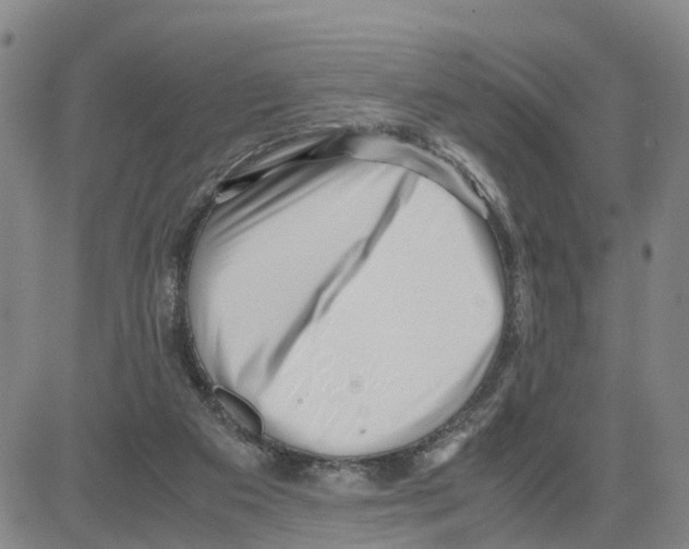 X0000080120113200701051404