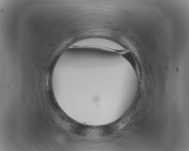 X0000080120115200701051404