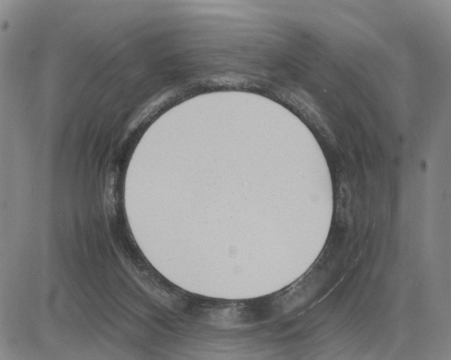 X0000080120116200701051404
