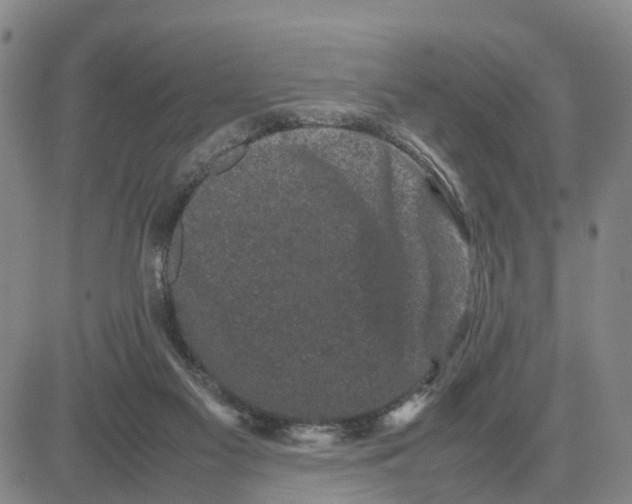 X0000080120117200701051404