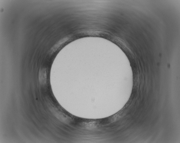 X0000080120120200701051404