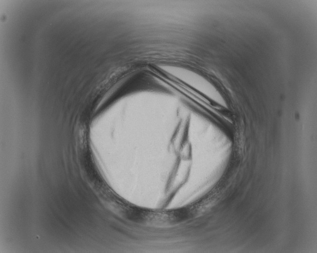 X0000080120123200701051404