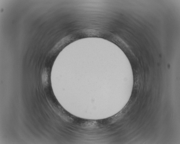 X0000080120124200701051404