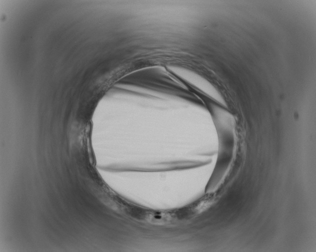 X0000080120125200701051404