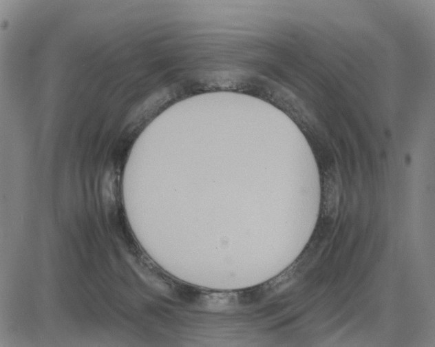 X0000080120126200701051404