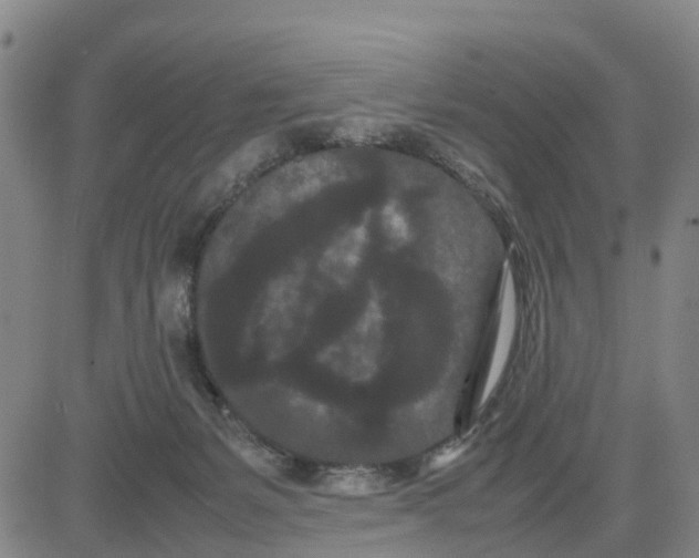 X0000080120127200701051404