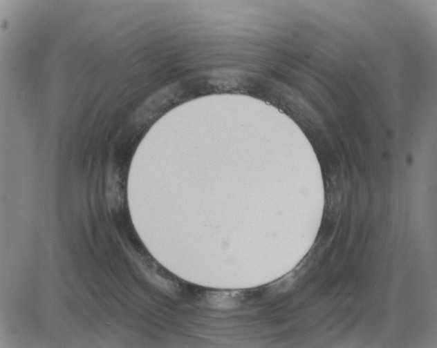 X0000080120136200701051404