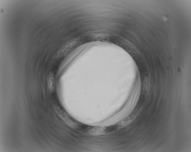 X0000080120138200701051404