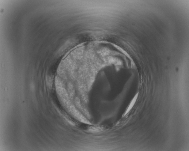 X0000080120139200701051404