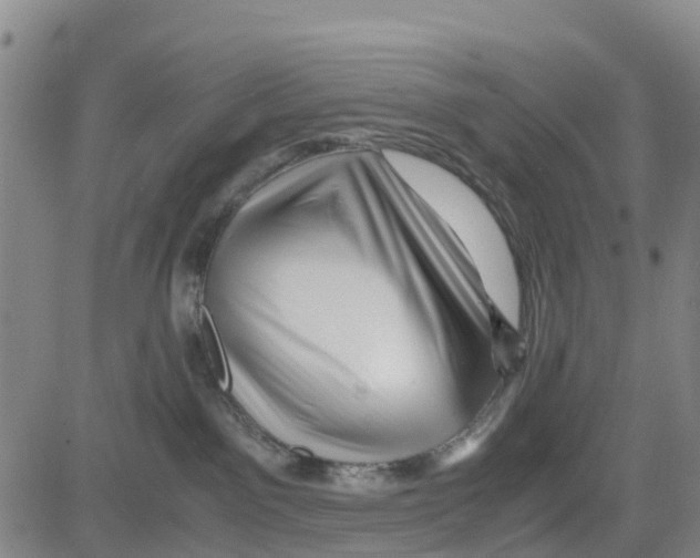 X0000080120141200701051404