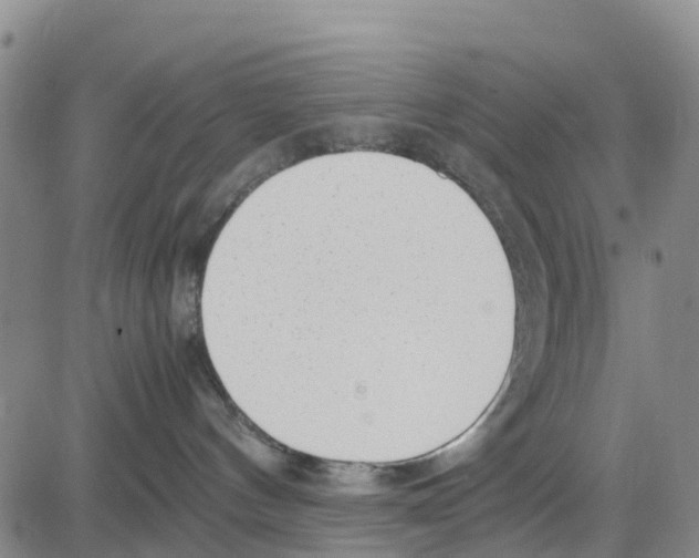 X0000080120144200701051404