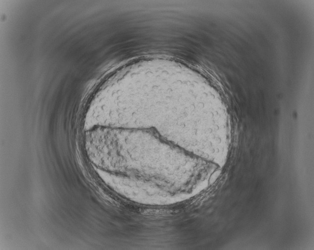 X0000080120145200701051403