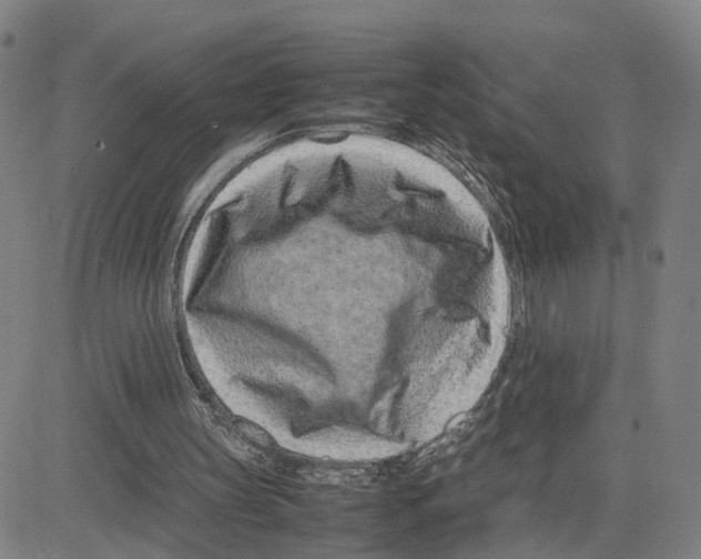 X0000080120147200701051403