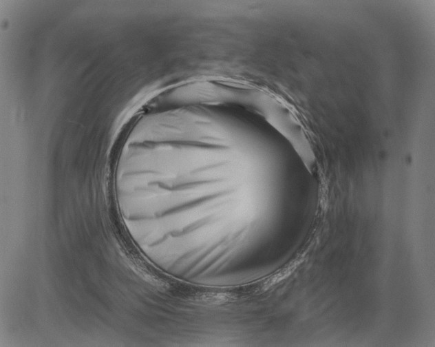 X0000080120152200701051403