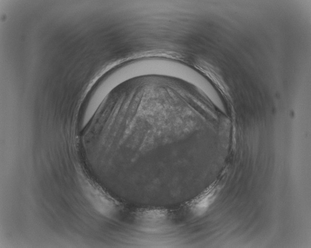 X0000080120156200701051403