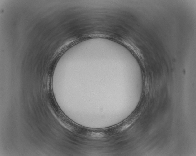 X0000080120157200701051403