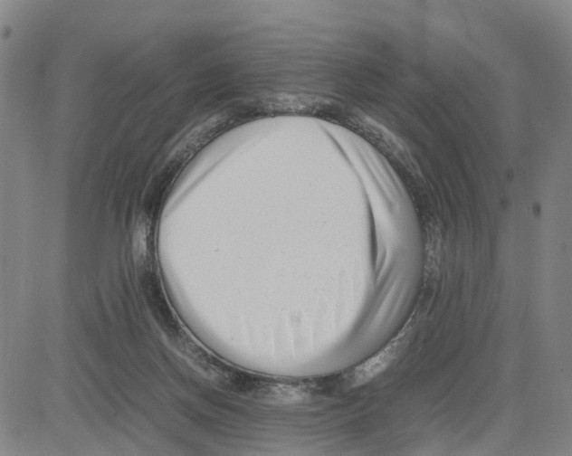 X0000080120166200701051403