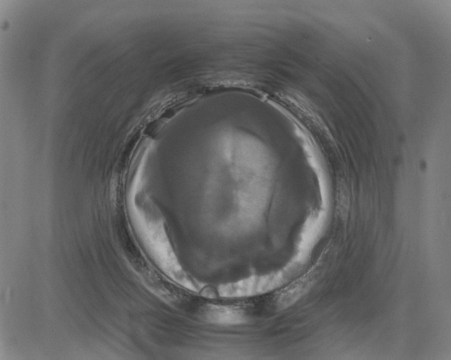 X0000080120167200701051403