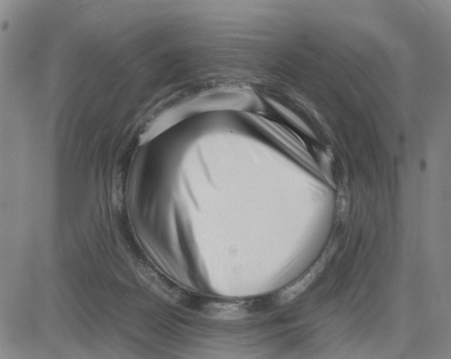 X0000080120170200701051403