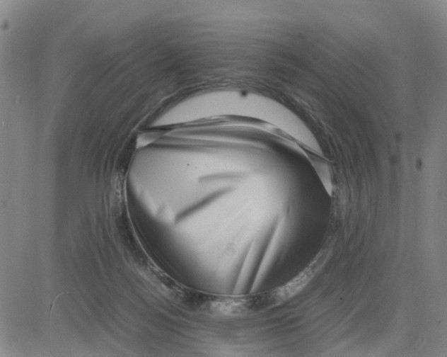 X0000080120172200701051403