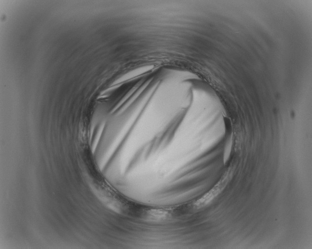 X0000080120176200701051403