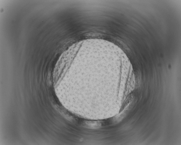 X0000080120187200701051403