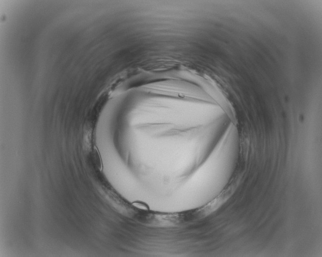 X0000080120188200701051403