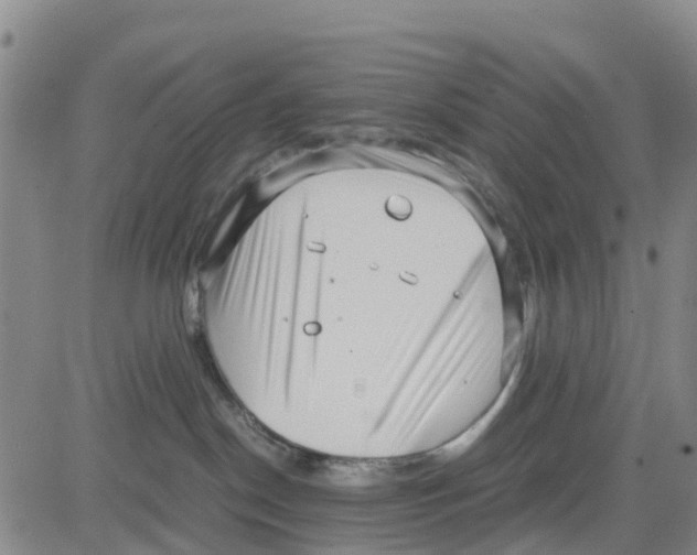 X0000080120190200701051403