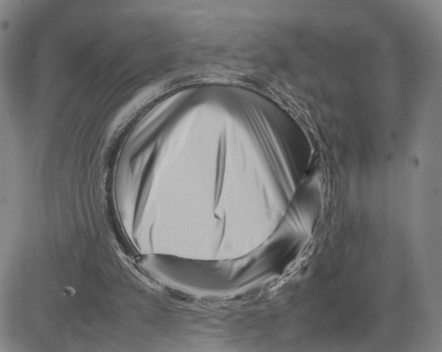 X0000080120197200701051403