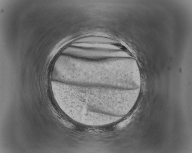 X0000080120199200701051403