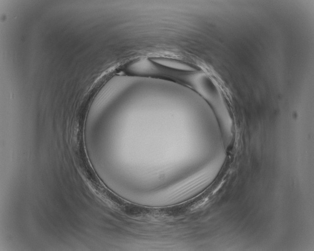 X0000080120201200701051403