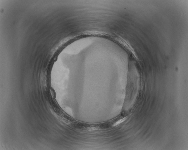 X0000080120204200701051403