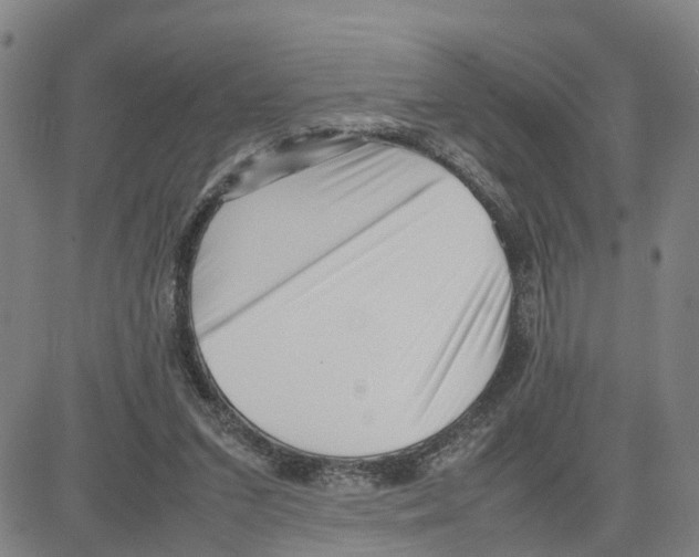 X0000080120207200701051402