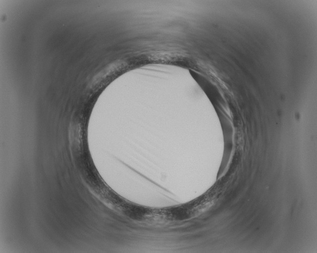 X0000080120211200701051402