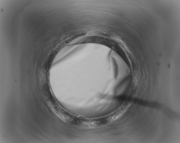 X0000080120213200701051402