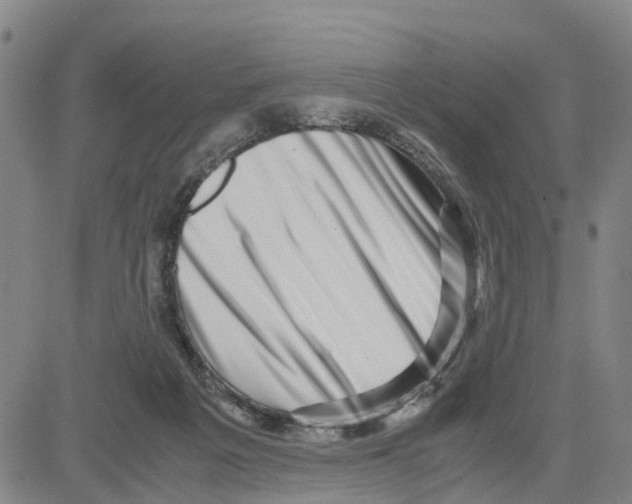 X0000080120217200701051402