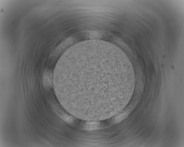 X0000080120240200701051402