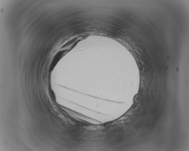 X0000080120241200701051401