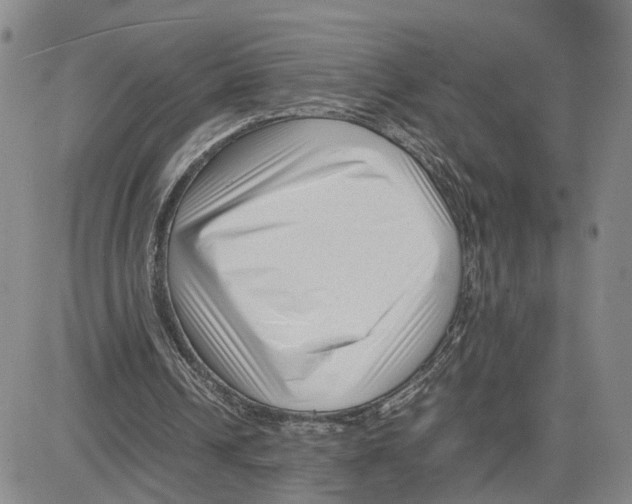 X0000080120242200701051401