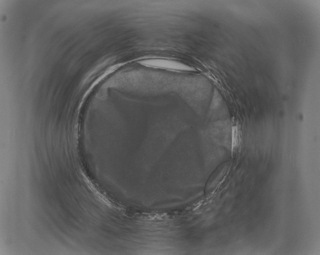 X0000080120243200701051401