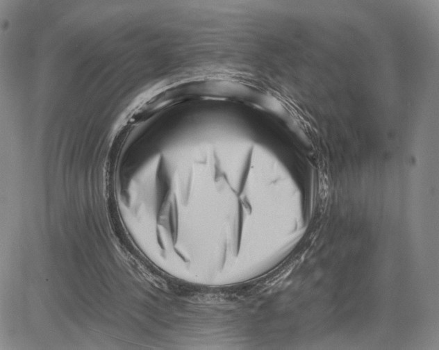 X0000080120244200701051401