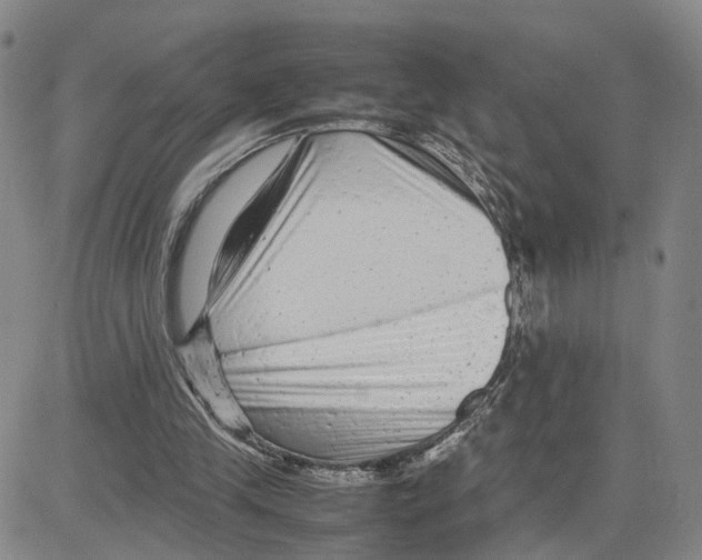 X0000080120245200701051401