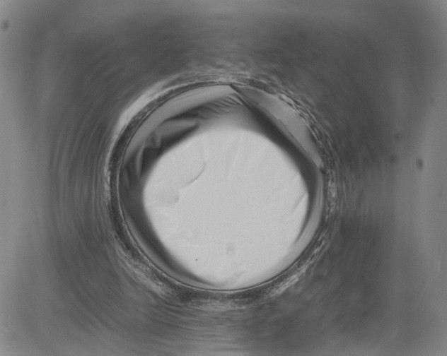 X0000080120246200701051401