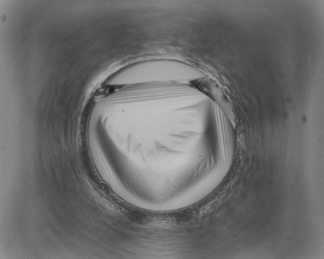 X0000080120248200701051401