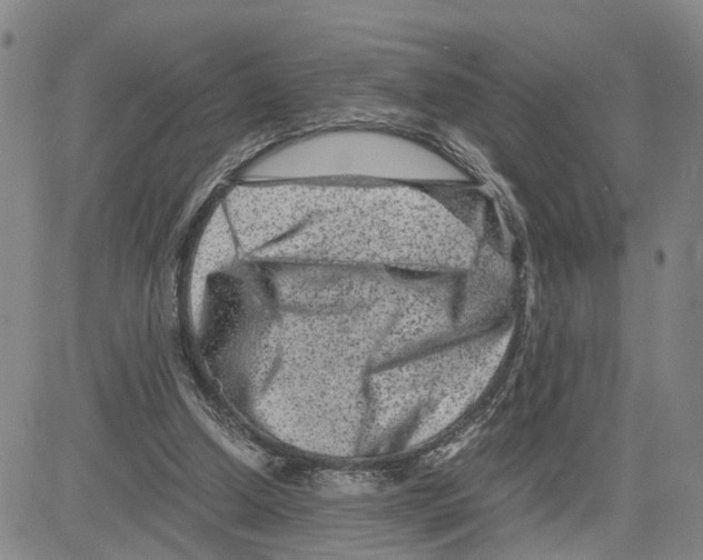 X0000080120250200701051401