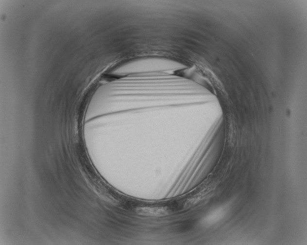 X0000080120251200701051401
