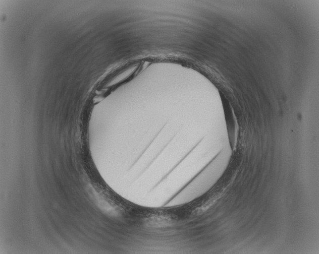 X0000080120256200701051401