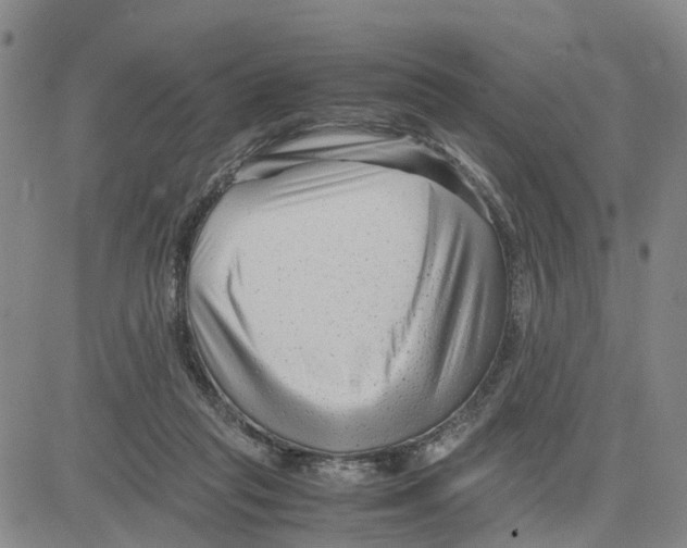 X0000080120261200701051401