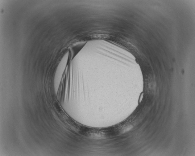X0000080120263200701051402
